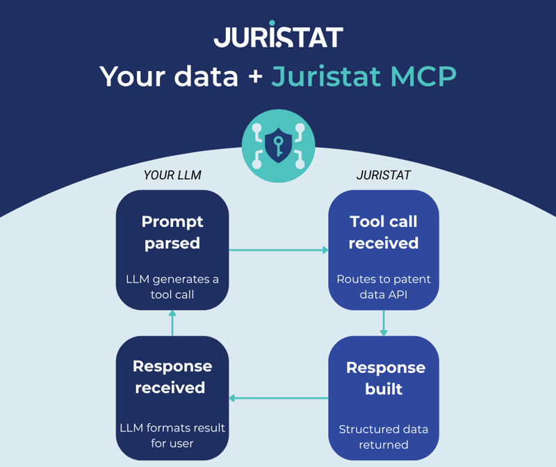 dataprivacy_jllm (1)-1